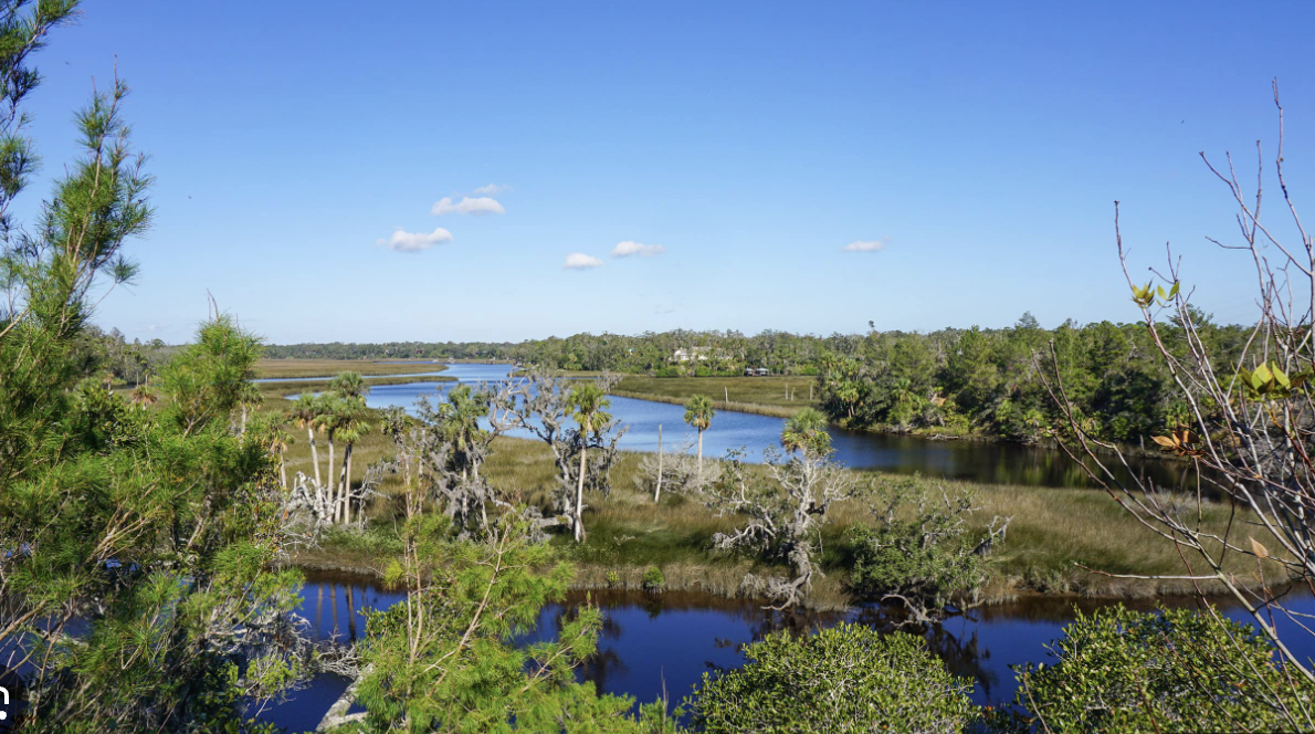 New Smyrna Beach for Nature Lovers: Exploring the Great Outdoors